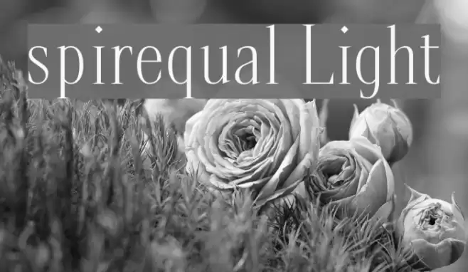spirequal Light Font examples
