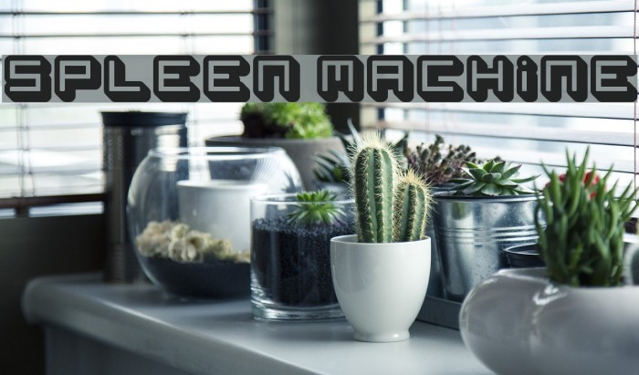 spleen machine Example 1