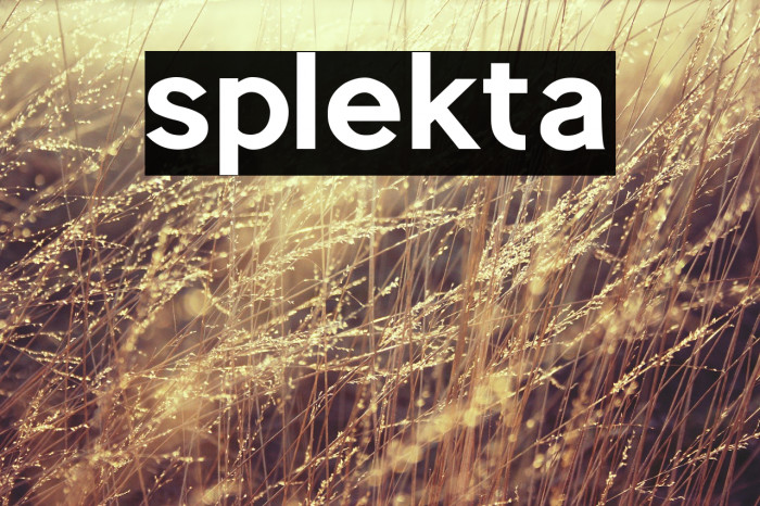 splekta Example 1