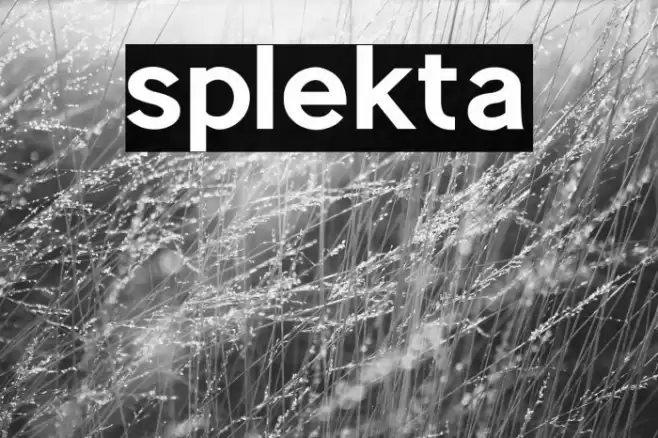 splekta Font examples