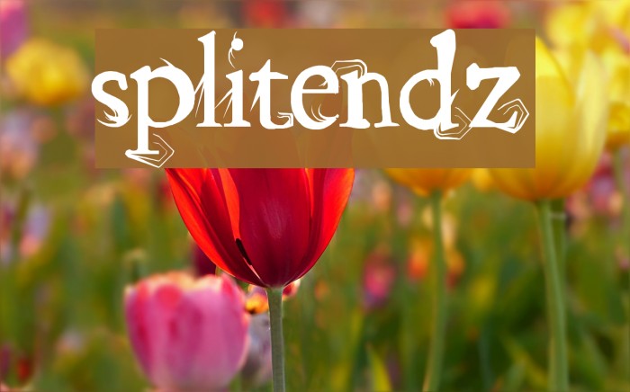 splitendz Font examples