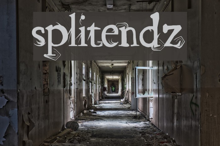 splitendz Font examples