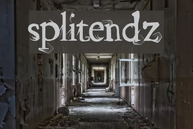 splitendz Example 2