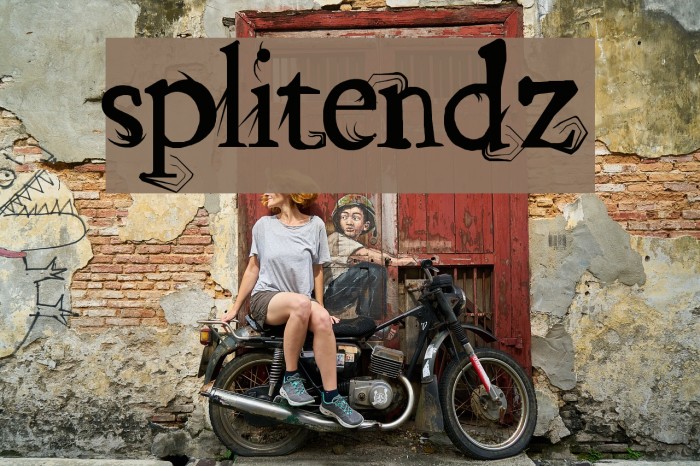 splitendz Font examples