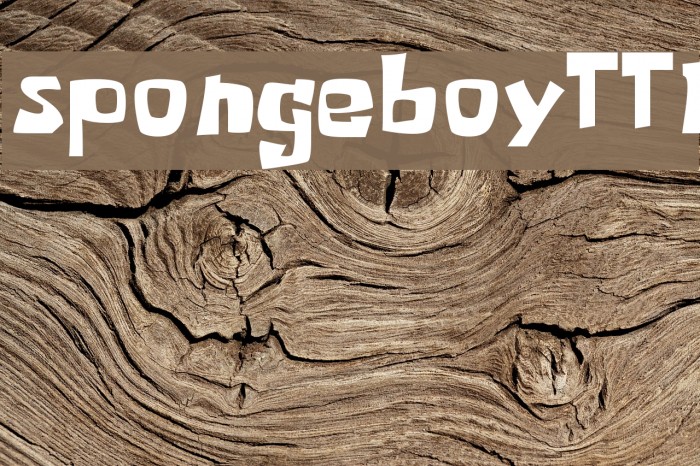 spongeboyTT1 Font examples