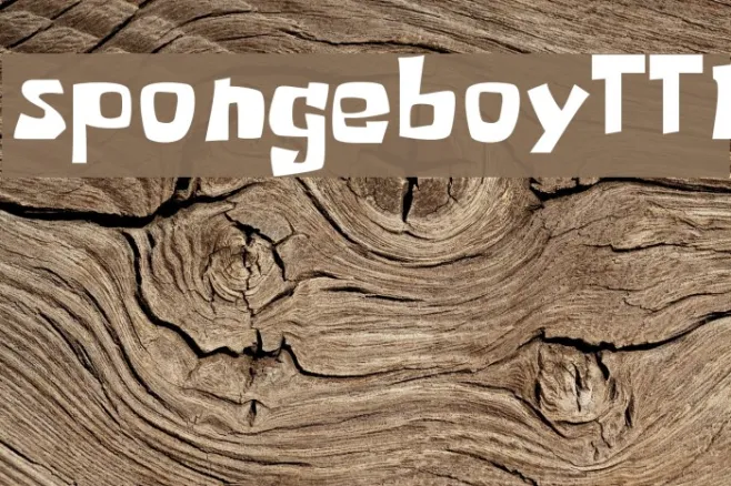 spongeboyTT1 Example 1