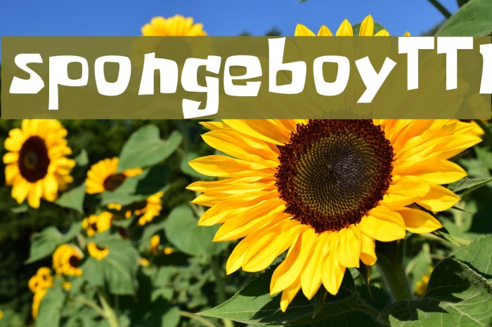 spongeboyTT1 Font examples