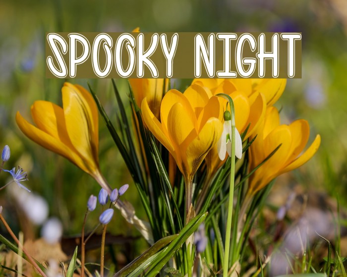 spooky night Font examples