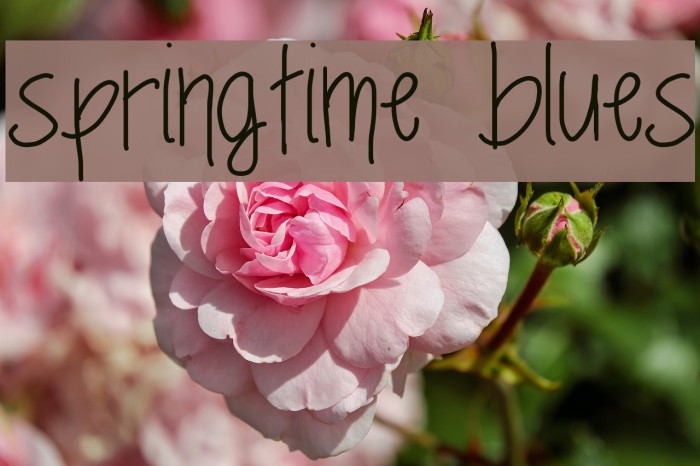 springtime blues Font examples