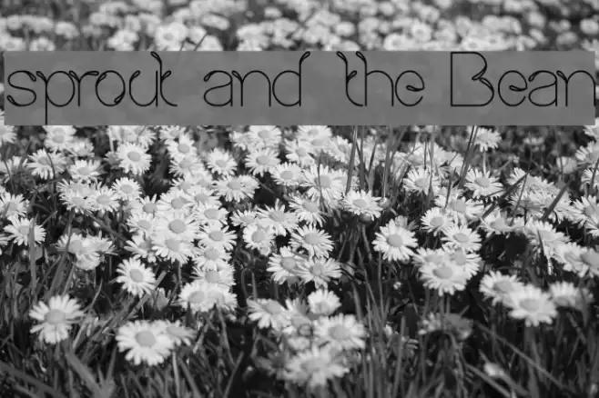 sprout and the Bean Font examples