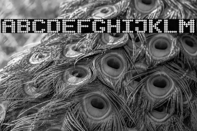 SQELLS Fuentes examples