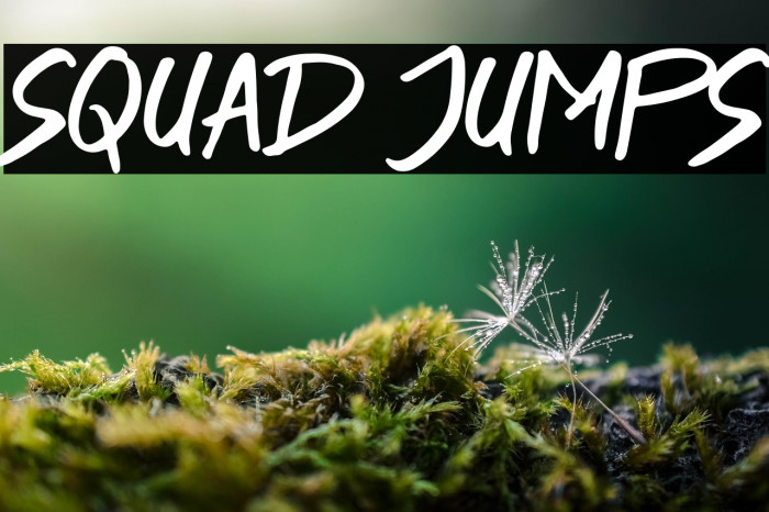 SQUAD JUMPS Example 3