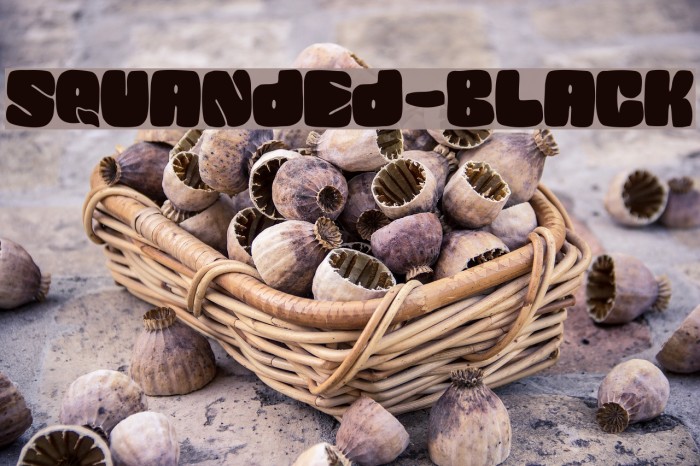 SQUANDED-Black Font examples