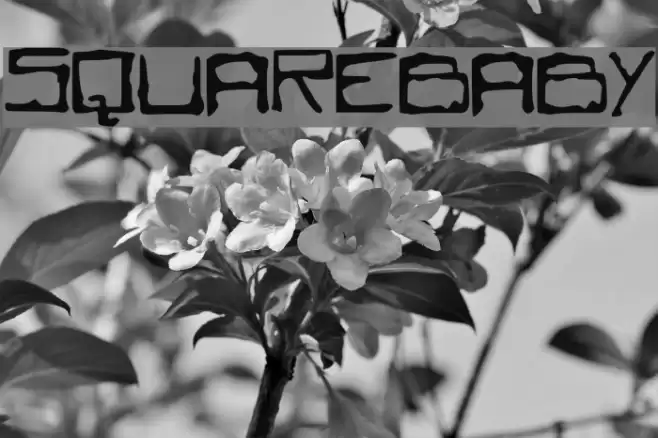 SQUAREBABY Font examples