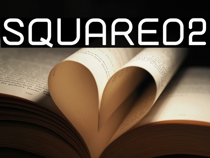 SQUARED2 Example 2