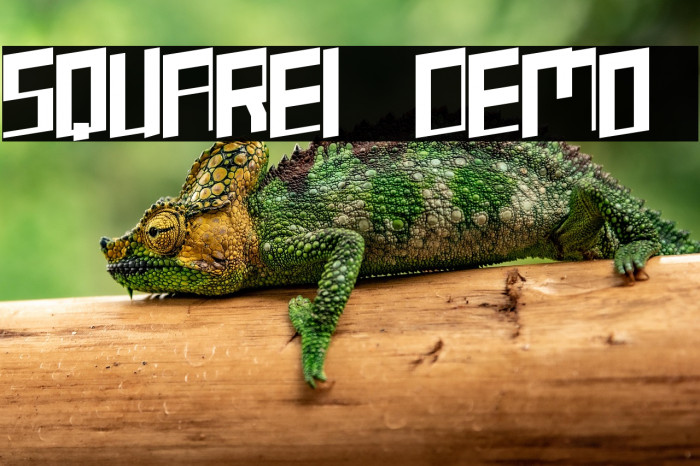 SQUAREI [demo] Example 2