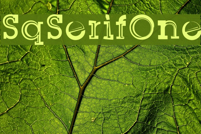 SqSerifOne Example 1