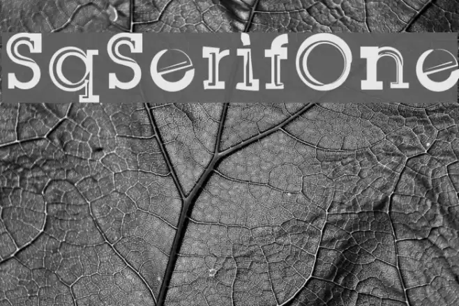 SqSerifOne Font examples