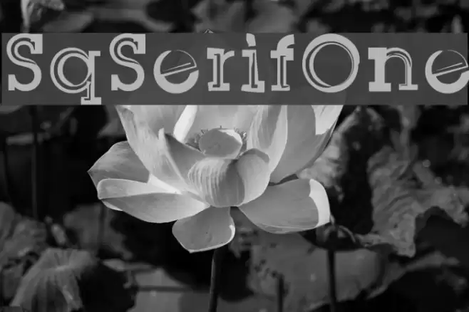 SqSerifOne Font examples