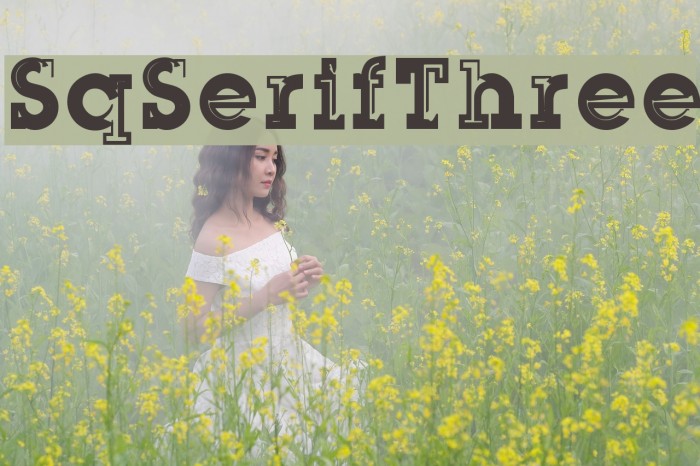SqSerifThree Font examples