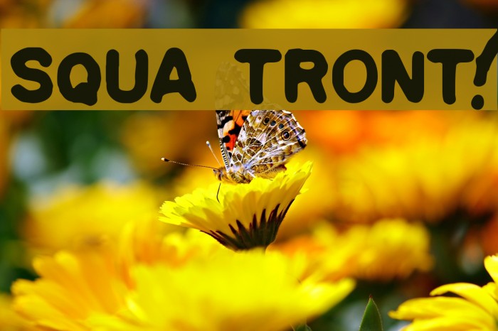 Squa Tront! Font examples