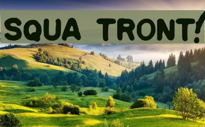 Squa Tront! Example 3