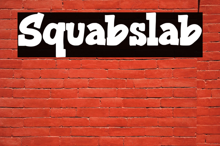 Squabslab Example 1