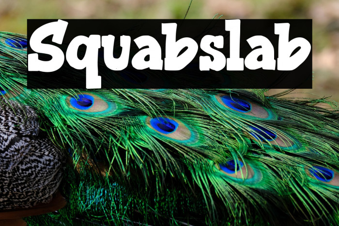 Squabslab Example 3