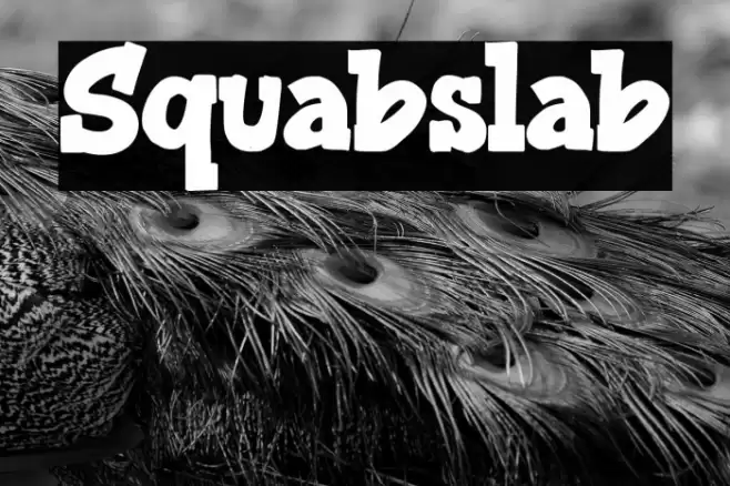 Squabslab Font examples