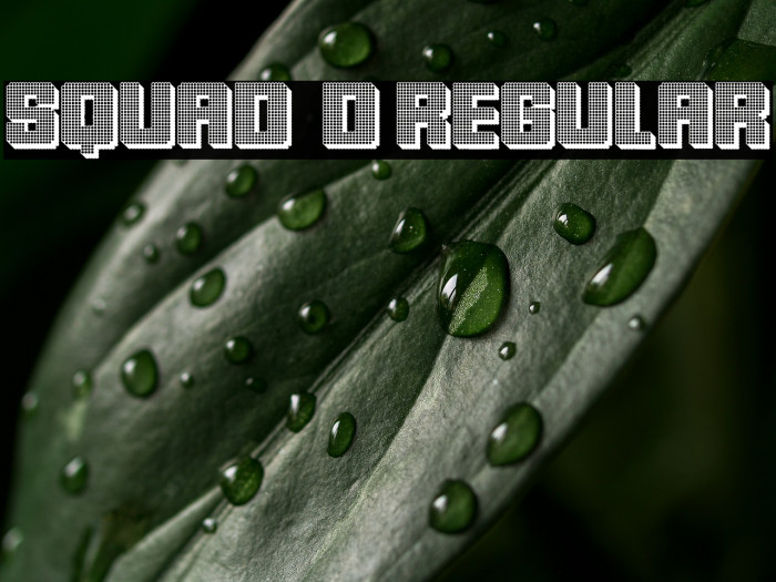 Squad 3D Regular Example 1