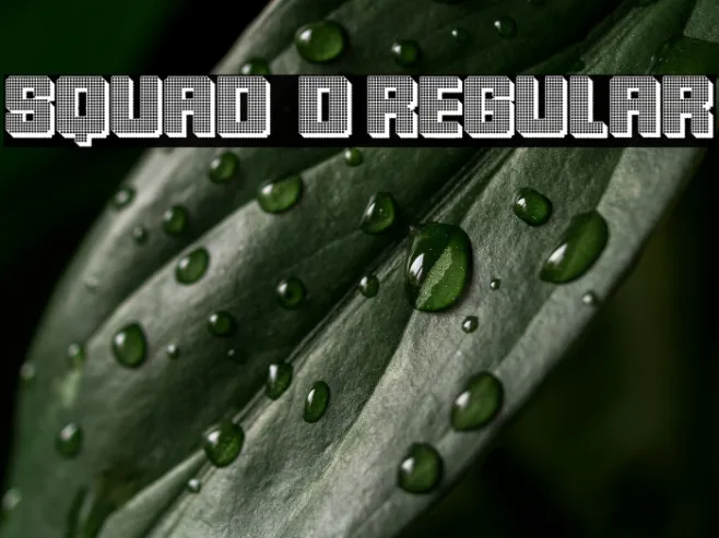 Squad 3D Regular Example 1