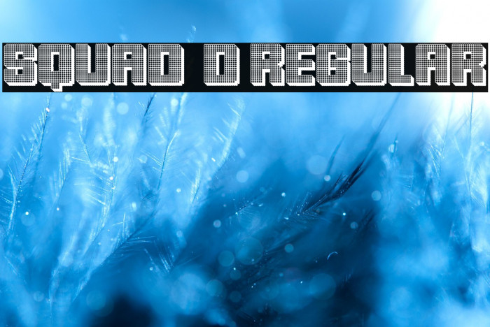 Squad 3D Regular Example 2