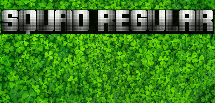 Squad Regular Example 3