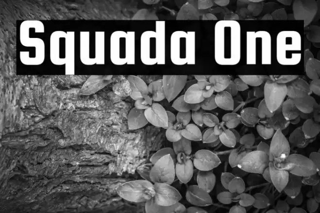 Squada One Шрифта examples