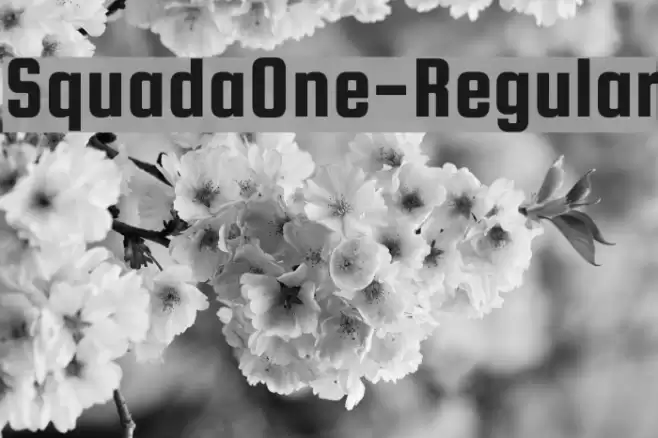 SquadaOne-Regular Font examples