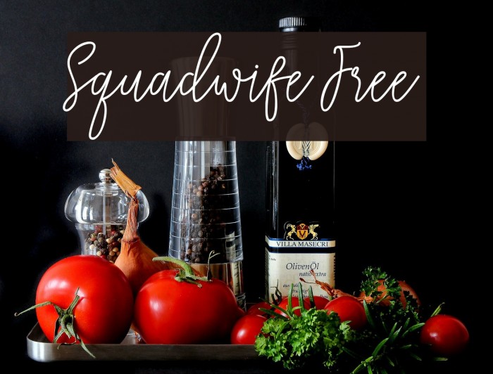 Squadwife Free Font examples