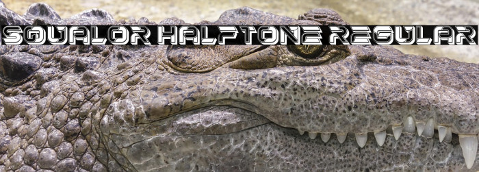 Squalor Halftone Regular Example 2