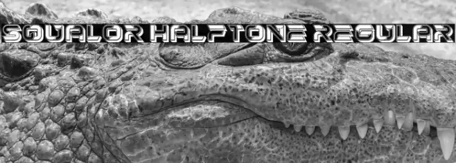 Squalor Halftone Regular Font examples