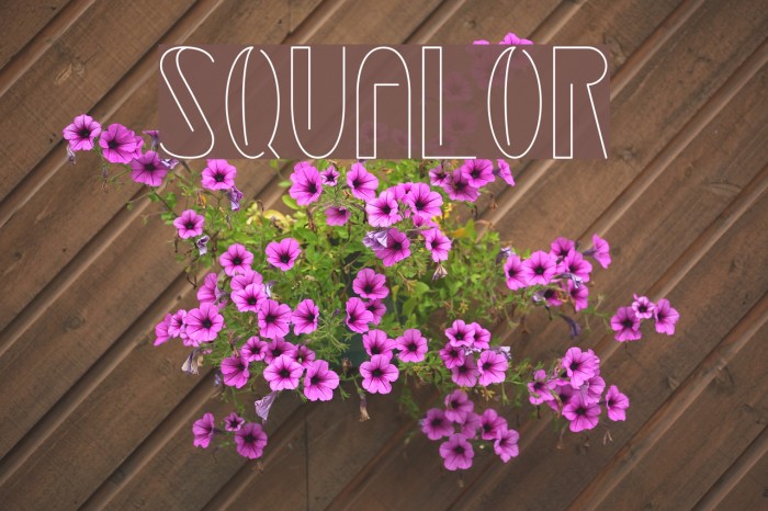 Squalor Font examples