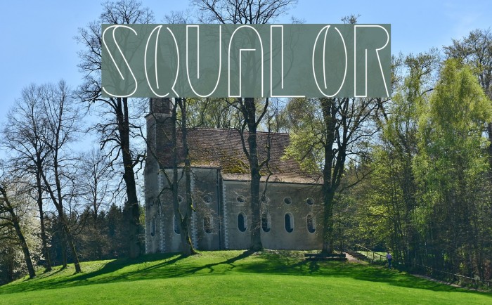 Squalor Font examples