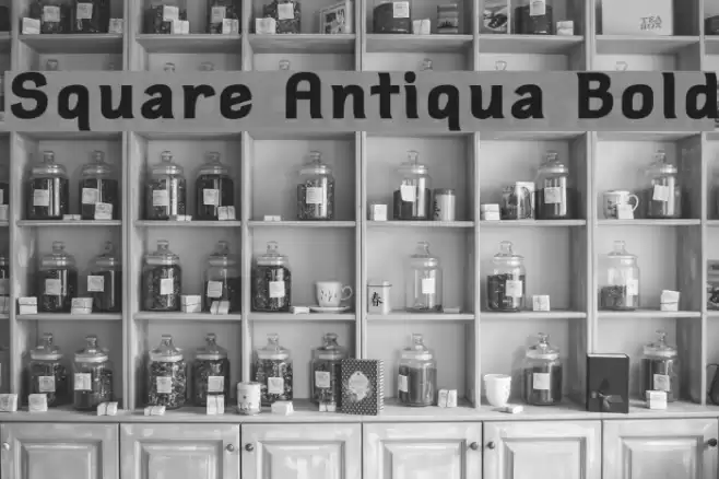 Square Antiqua Bold Font examples