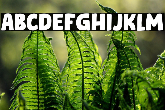 Square Beat DEMO Example 2