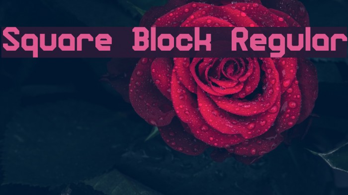 Square Block Regular Example 1