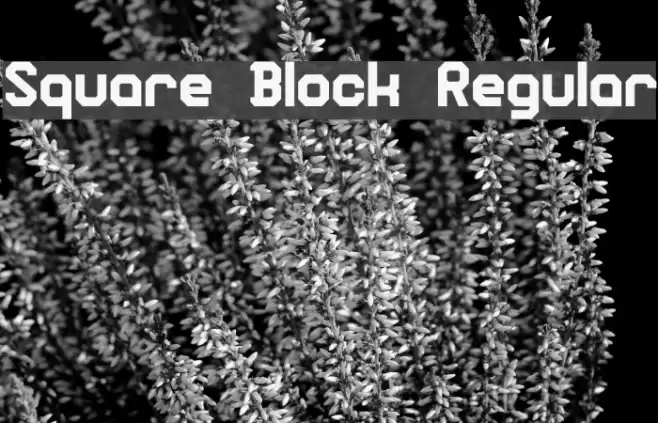 Square Block Regular Font examples