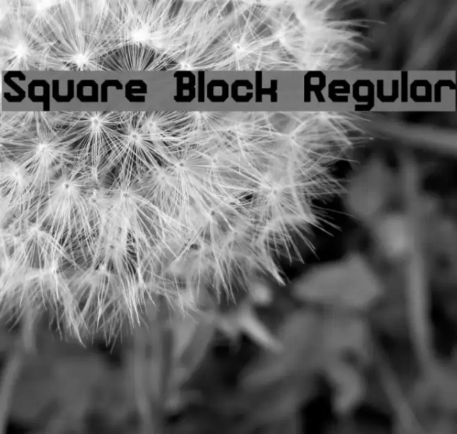 Square Block Regular Font examples