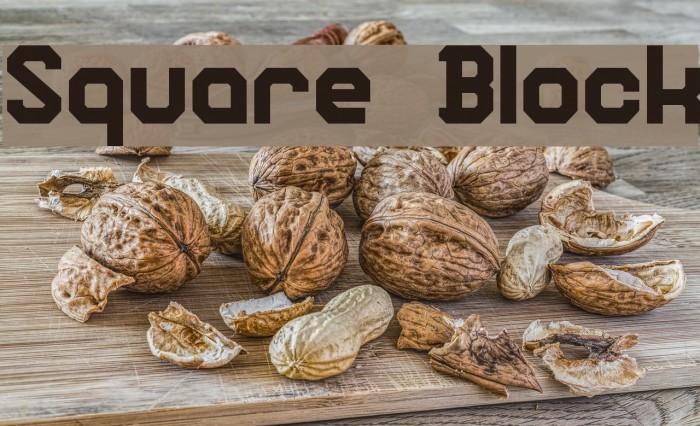 Square Block Font examples
