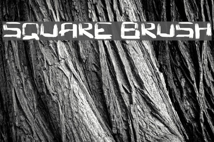 Square Brush Font examples