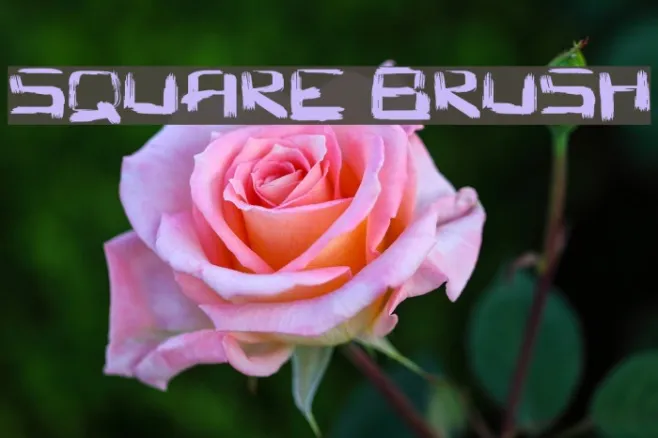 Square Brush Example 2