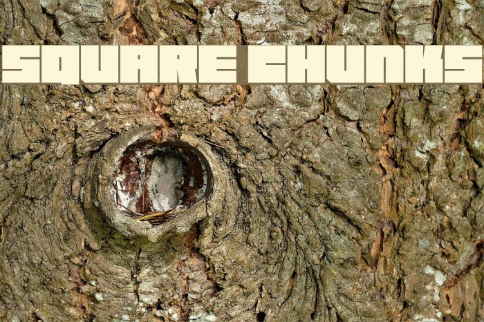 Square Chunks Font examples