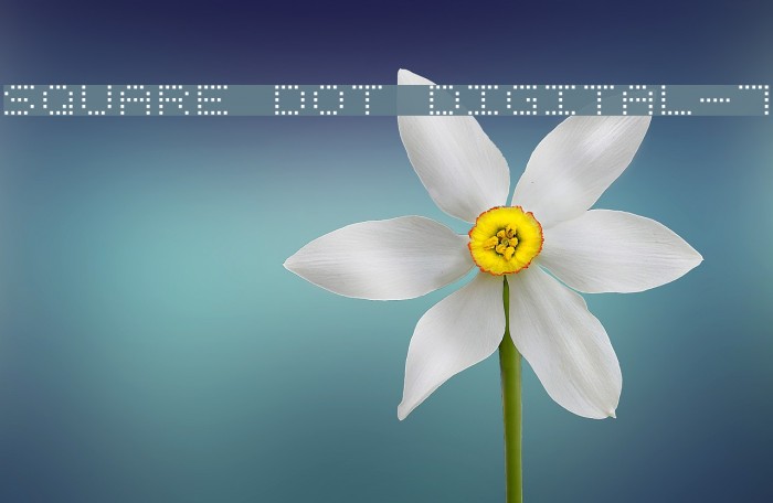 Square Dot Digital-7 Font examples